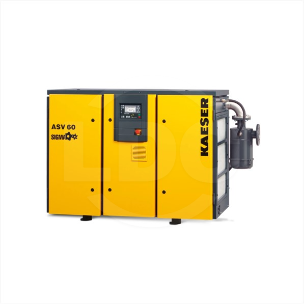 Rotary Screw Vacuum Pumps